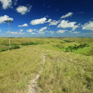 Photo: Collines de Wairinding