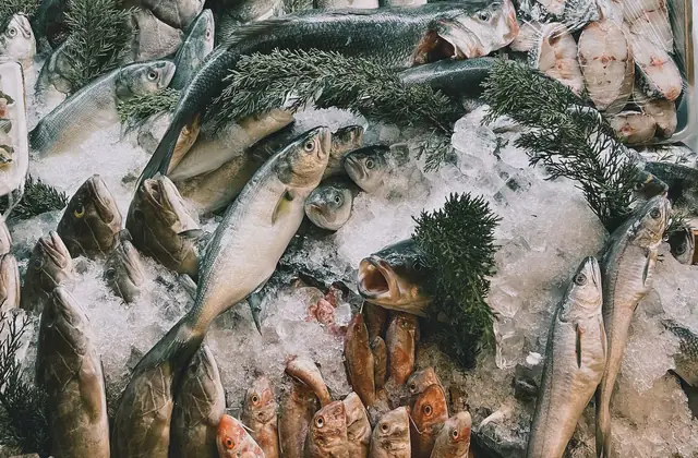 Marktstand mit frischem Fisch auf Eis
